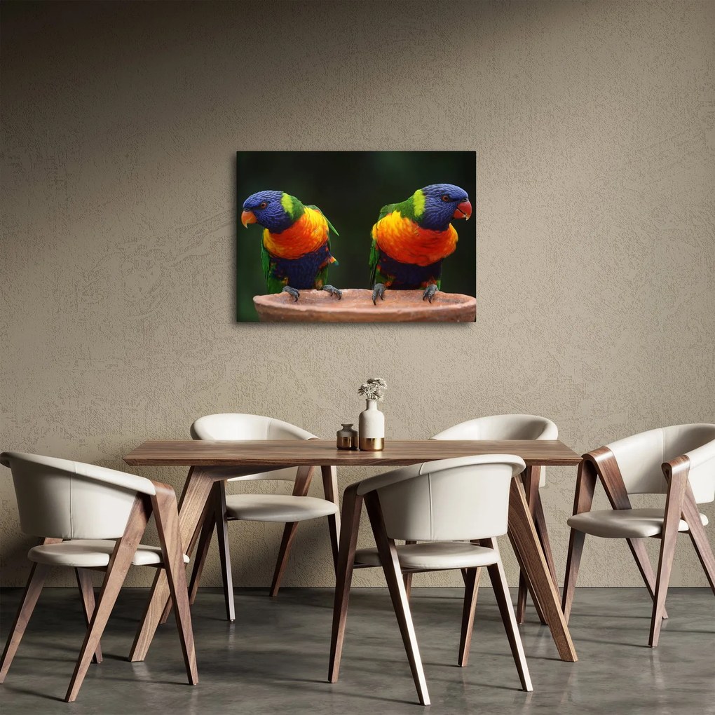 Papagájok képe (70x50 cm)