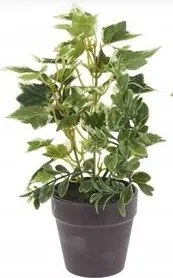 Művirág Fekete Cserépben 20CM Dekoráció Borostyán Fehér