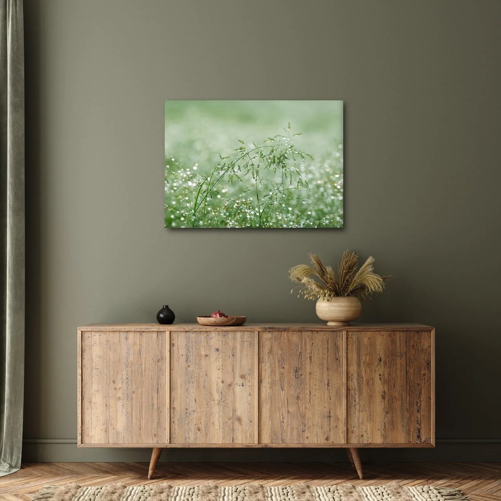 Kép - Reggeli harmat a fűszálakon (70x50 cm)