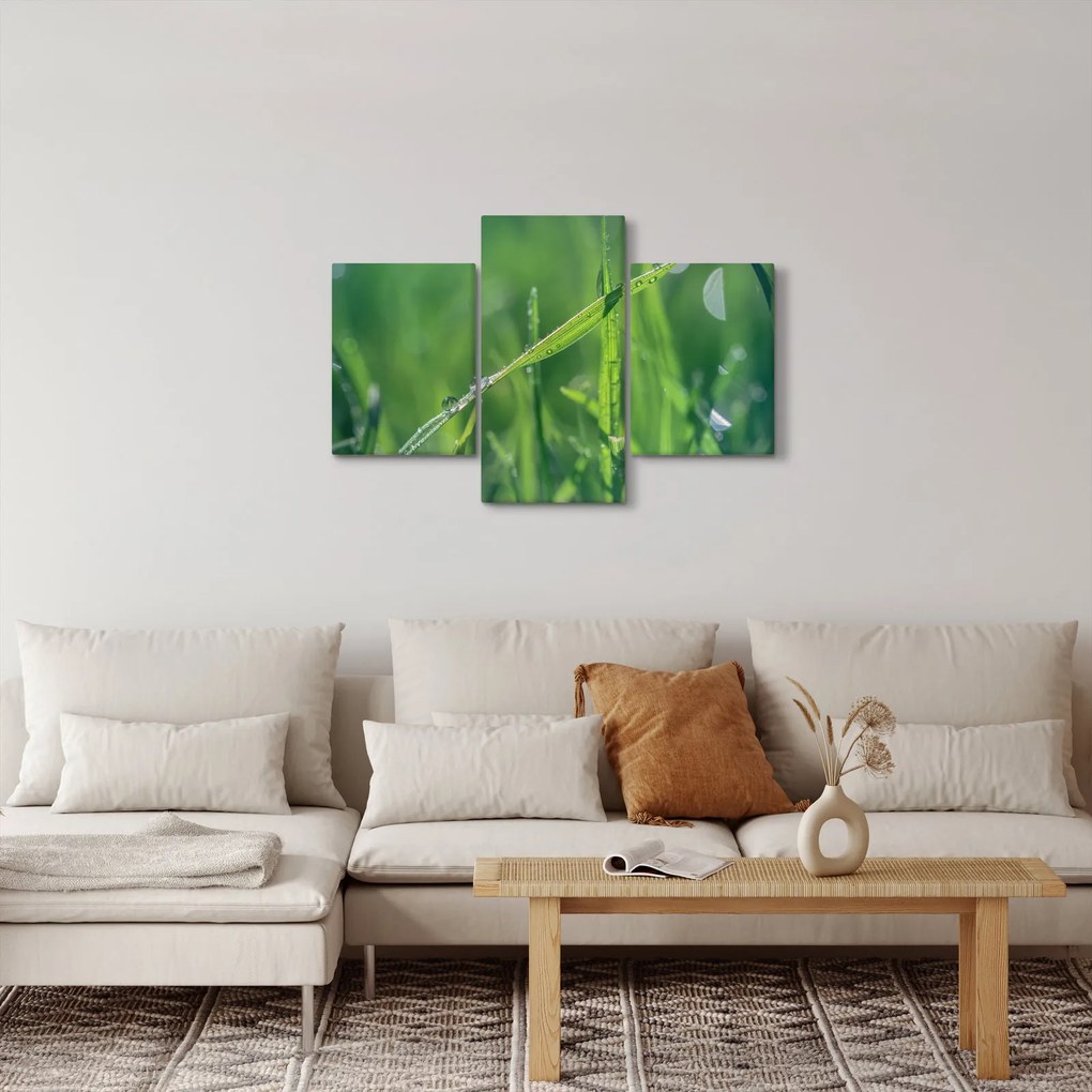 Harmat cseppek képe (90x60 cm)