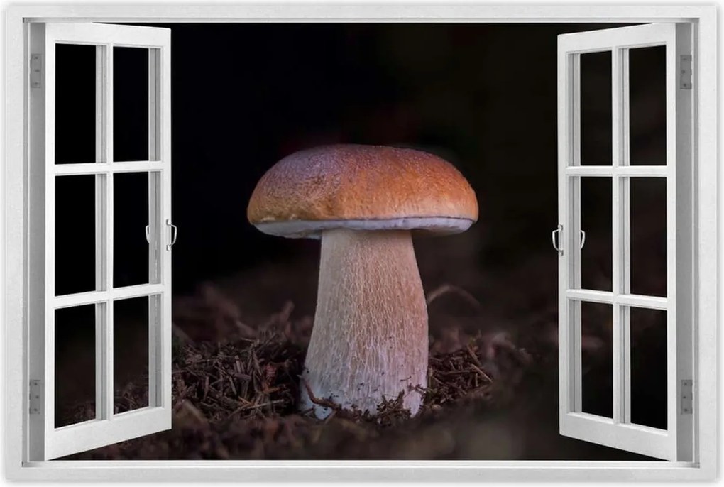 Poszter 60x40 A gombák királya