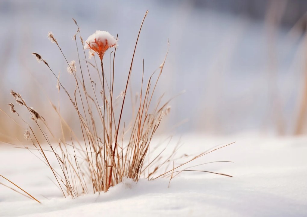 Poszter 84,1x59,4cm Tél a részletekben
