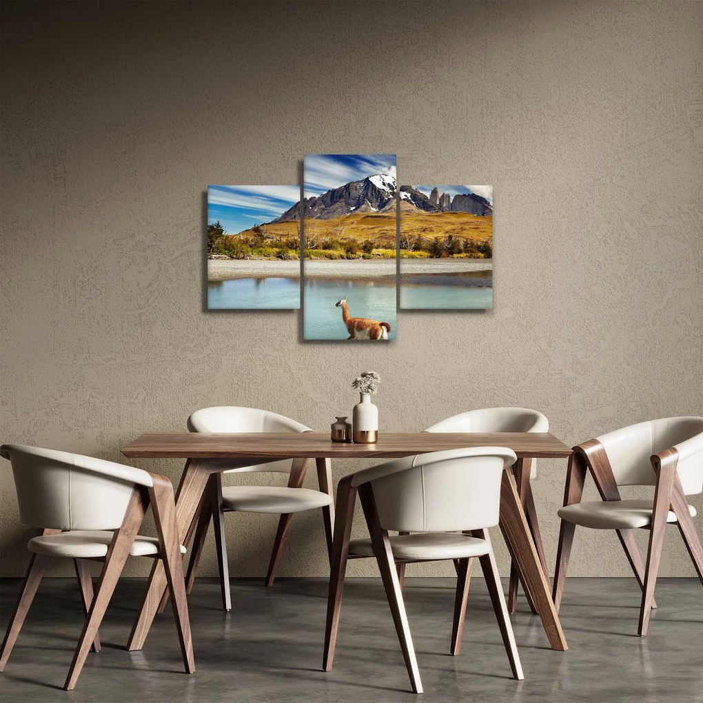 Kép - Torres del Paine Nemzeti Park (90x60 cm)