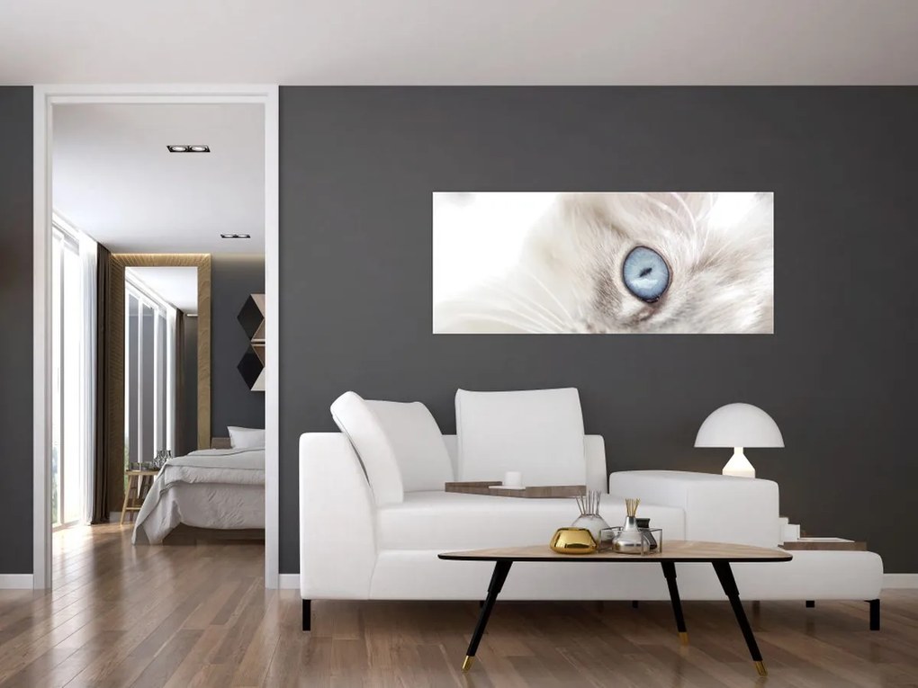 Kép - Kék szemű macska (120x50 cm)