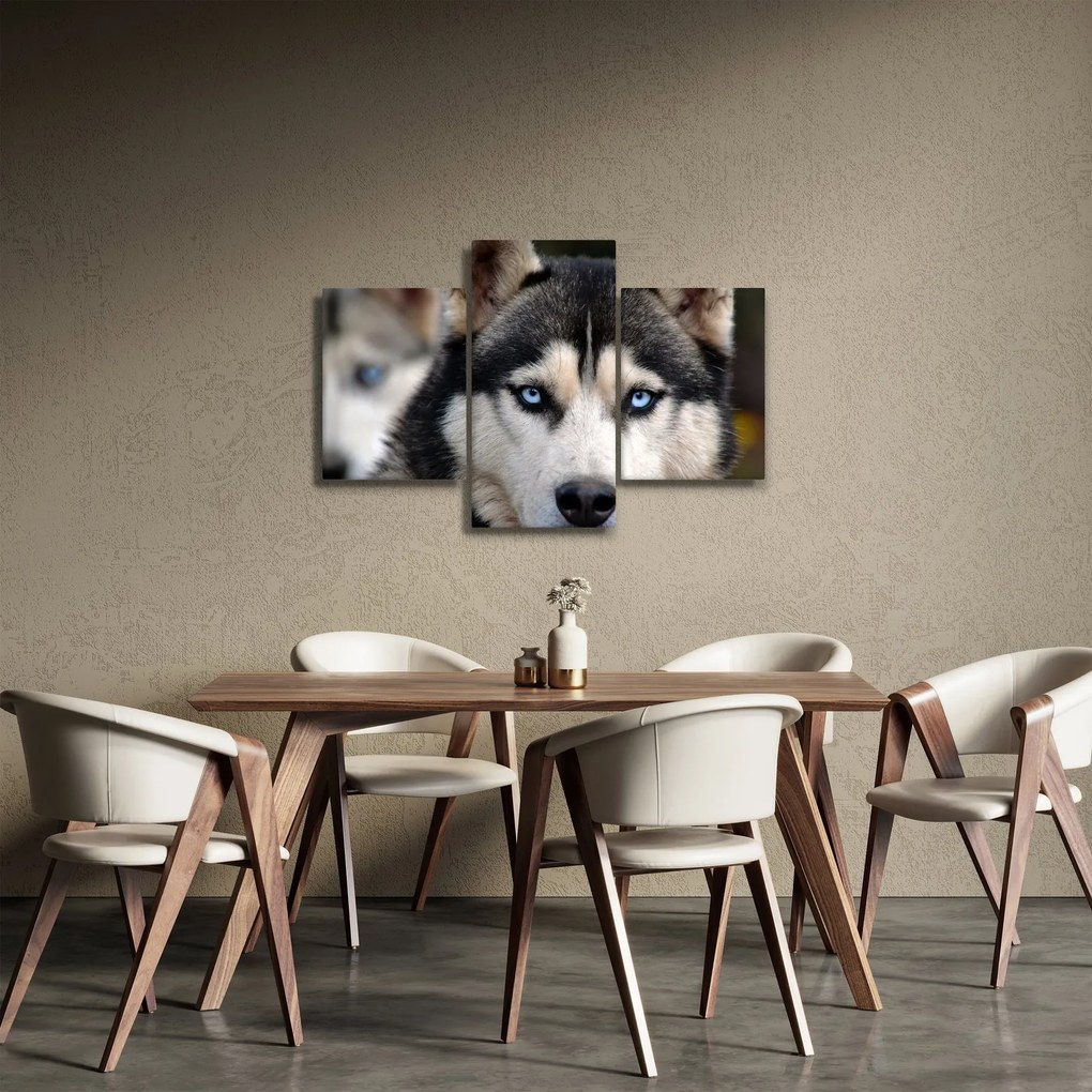Husky kutya kép (90x60 cm)