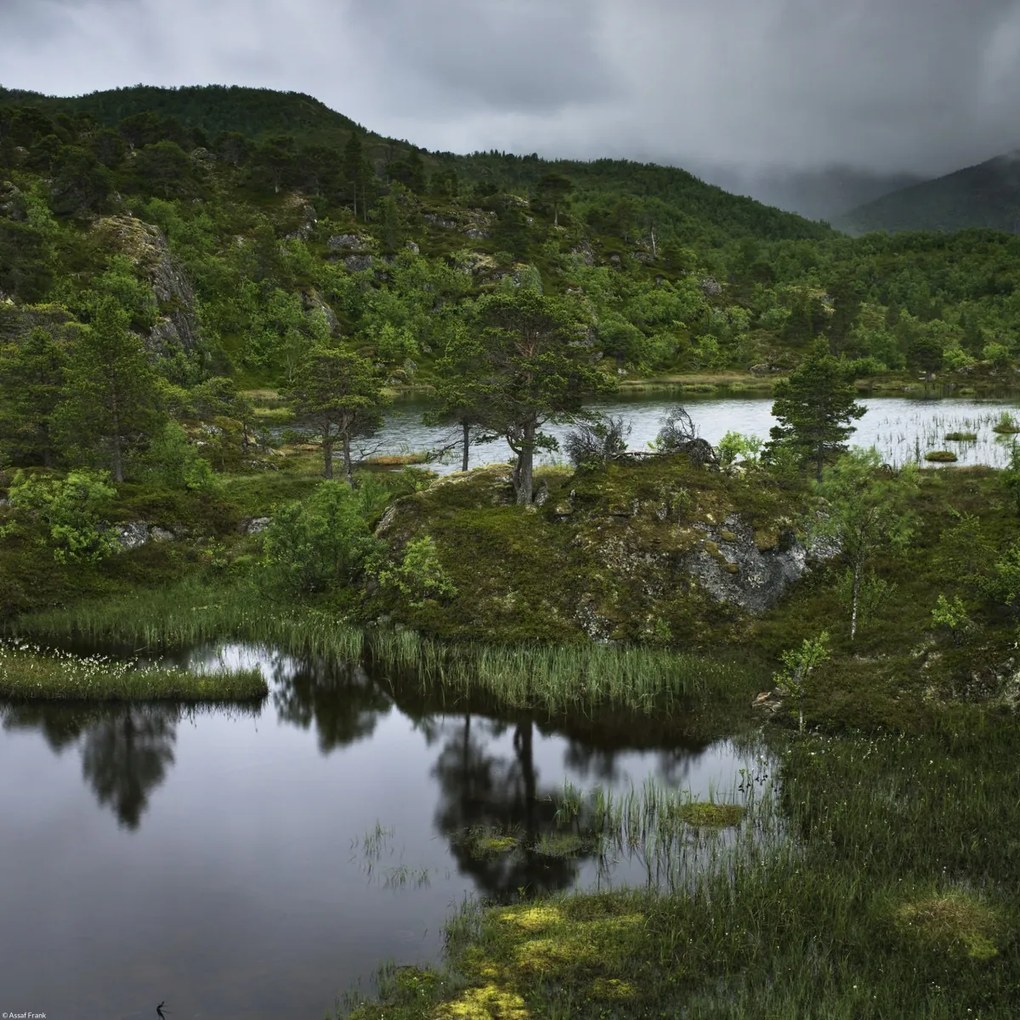 Poszter 40x40cm Norvég fjord 5, Assaf Frank