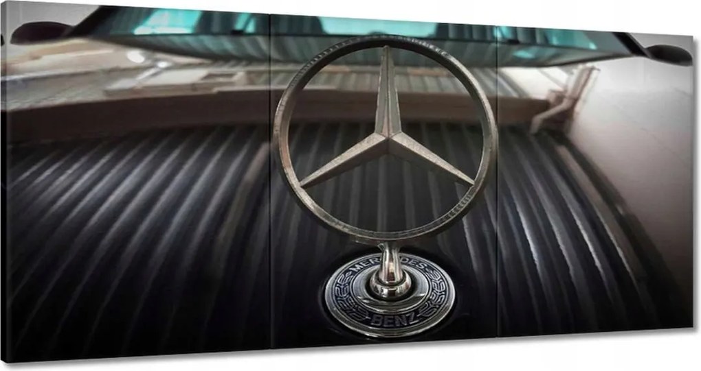 Vászonkép 60x30 Mercedes bélyeg