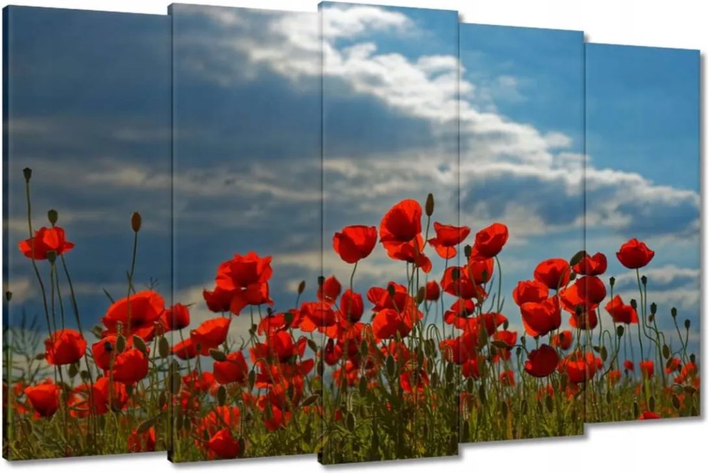 Vászonkép 150x95 Pipacs Virágok