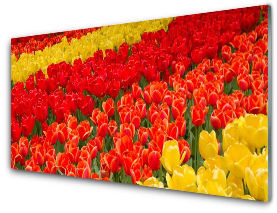 Fali üvegkép tulipán virágok 140x70 cm
