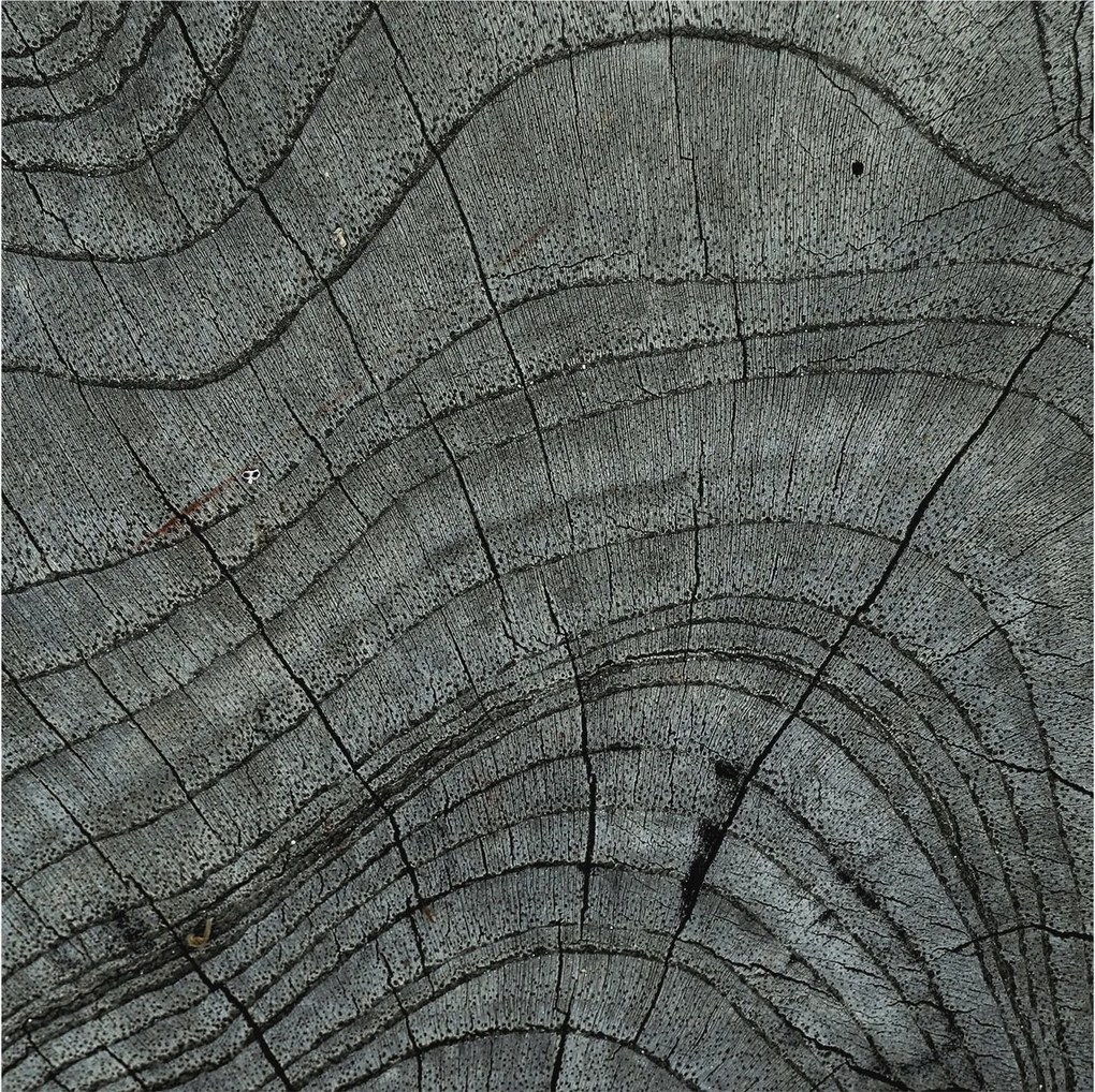 Flizelina fotótapéta Nappaliba és Hálószobába Befőttesüveg mintás 250x250 Ragasztó