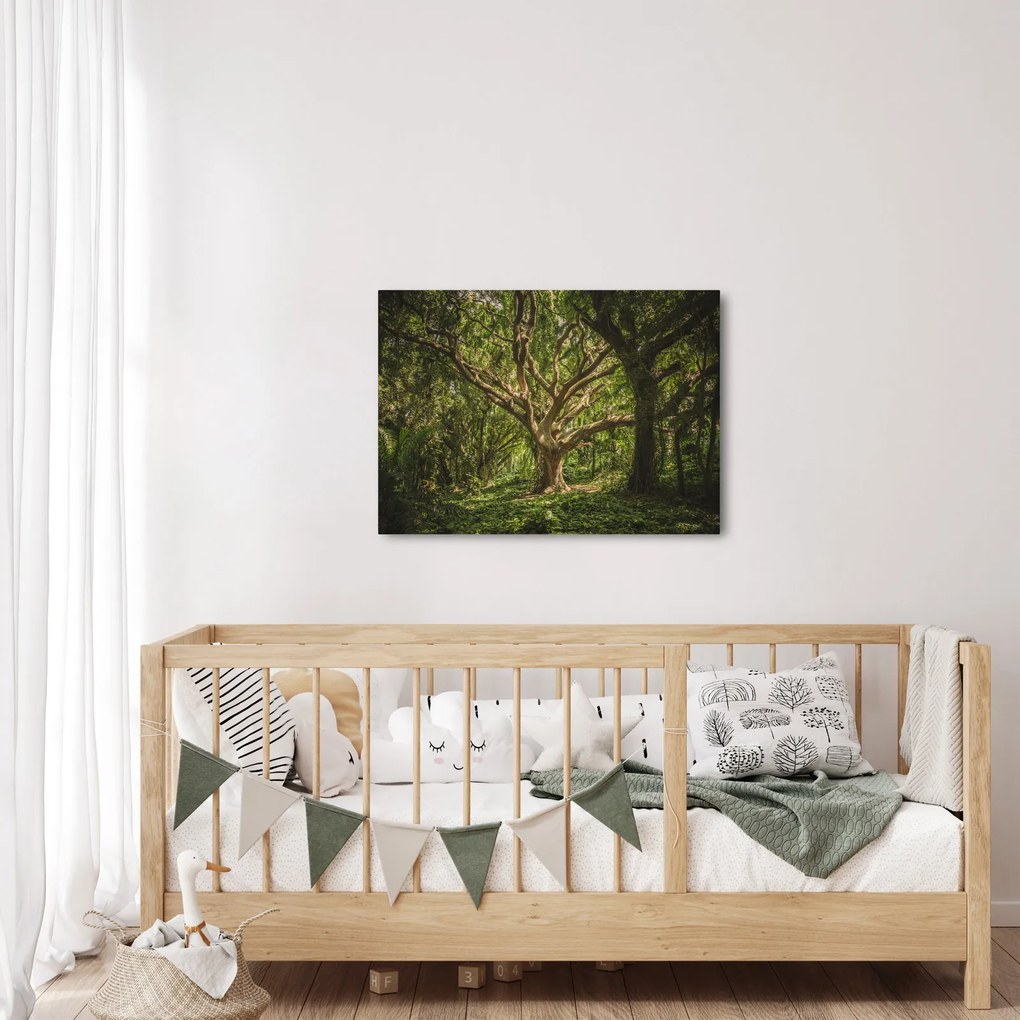 Fa képe (70x50 cm)