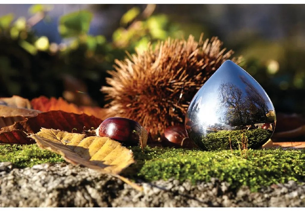 Dávkovač léků Chestnut - Alessi