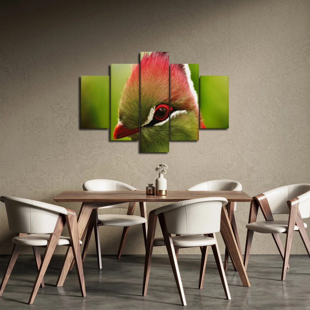 Színes madár képe (150x105 cm)