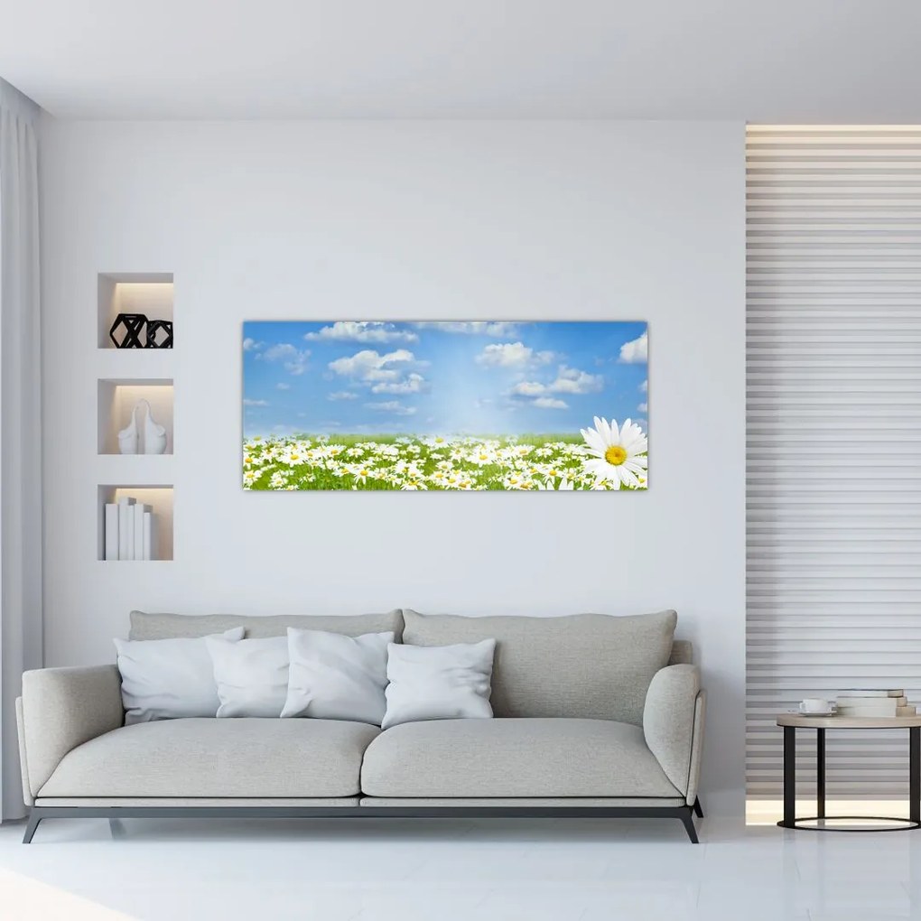 A virágzó rét százszorszépekkel képe (120x50 cm)