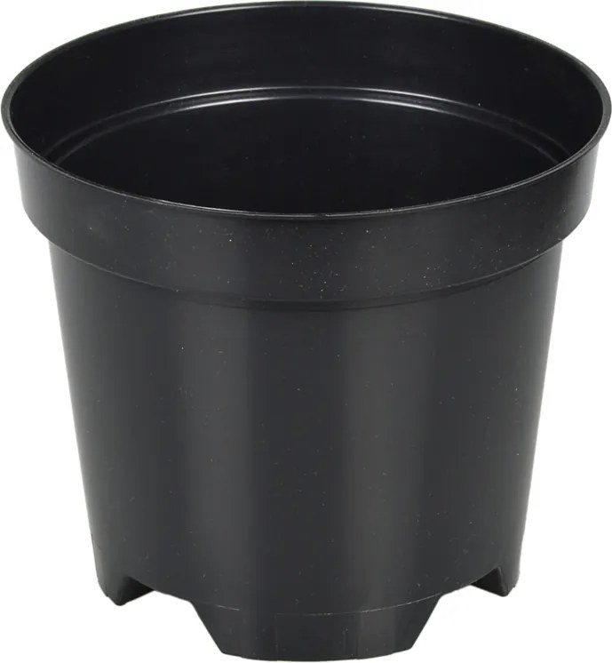 Áfonya termesztő kaspó 16,5/14cm 2L 500db