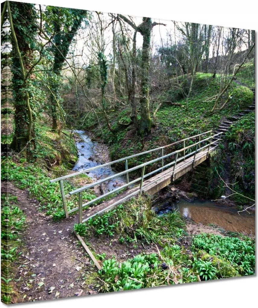 Vászonkép 40x40 Híd a parkban