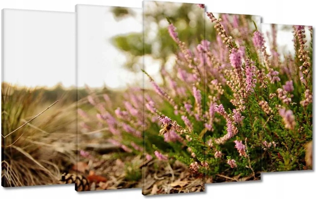 Vászonkép 100x60 Erdei láp