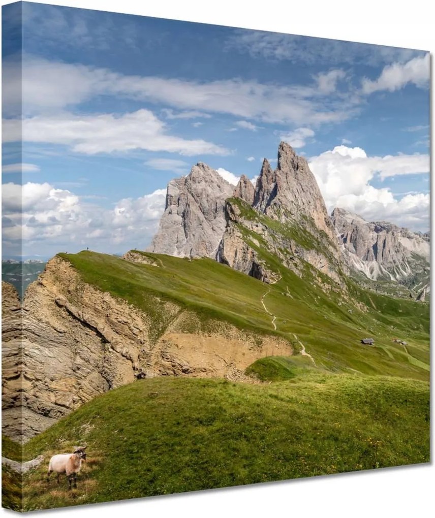 Vászonkép 60x60 Bárány a hegyekben Hegyek Kilátás