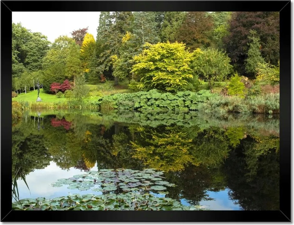 Poszterek keretben 40x30 Park tükröződés