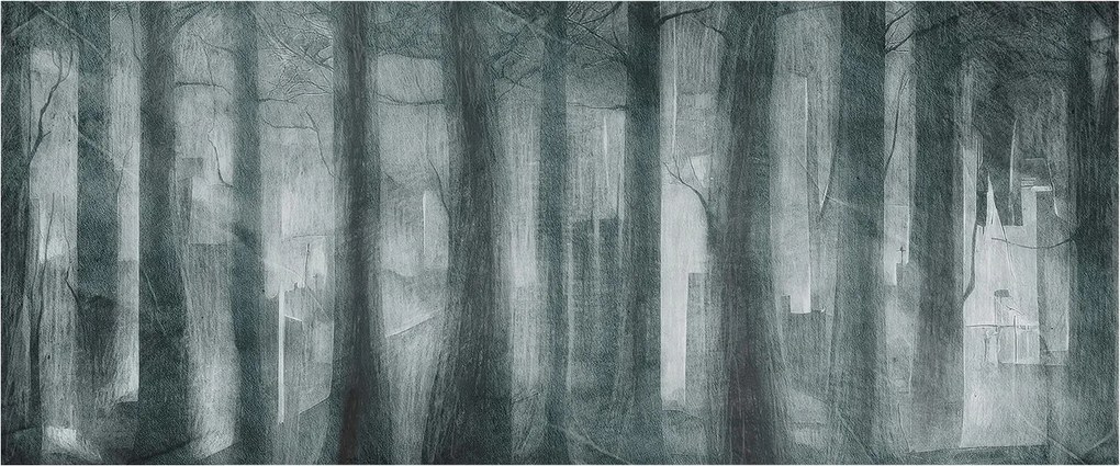 Design fotótapéta Flizelin falra Rejtélyes erdő 250x104 Ragasztó