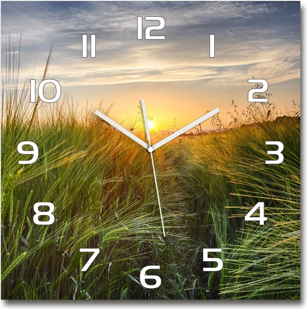 Nagy üveg falióra nappaliba Búzamező 60x60cm