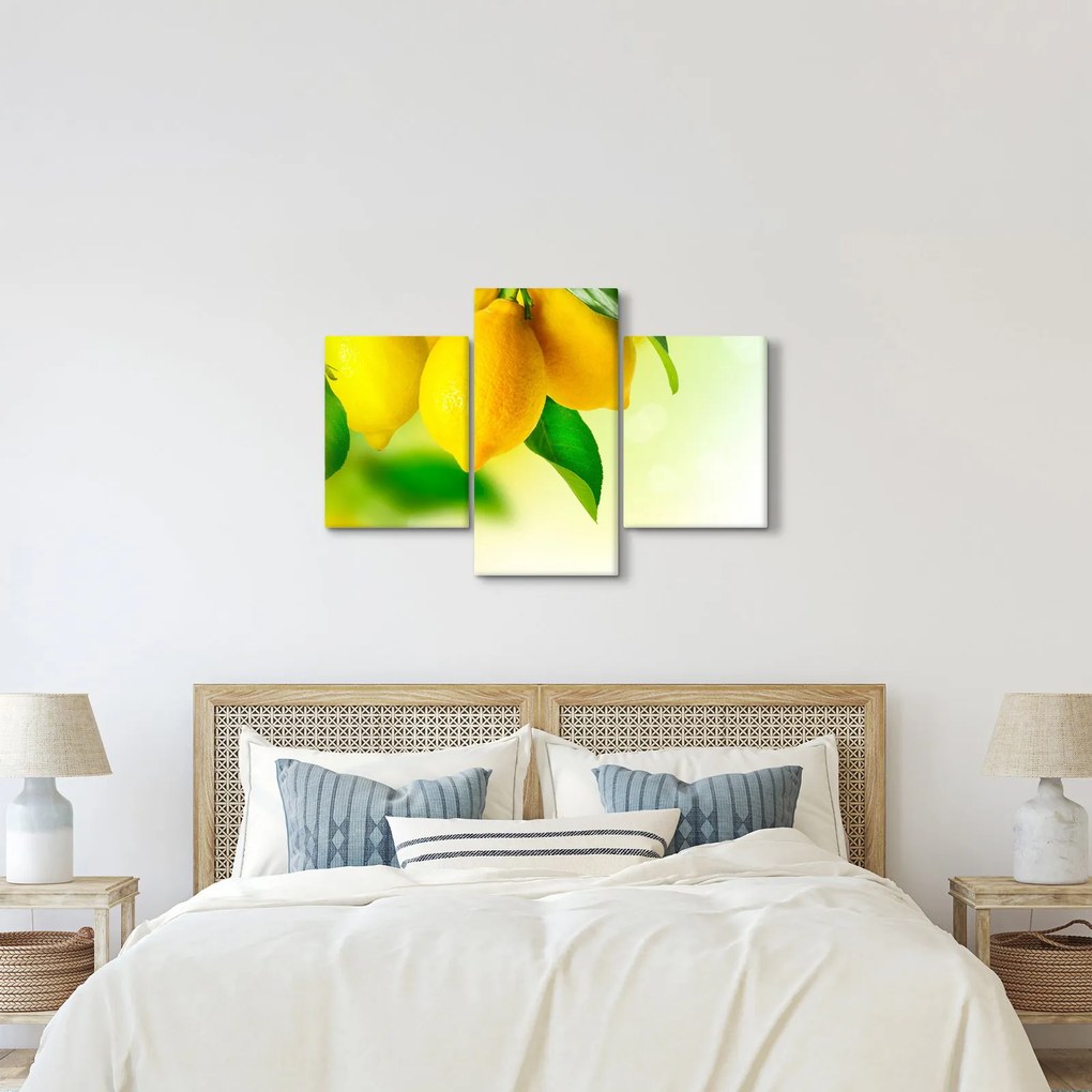 A citrom képe (90x60 cm)