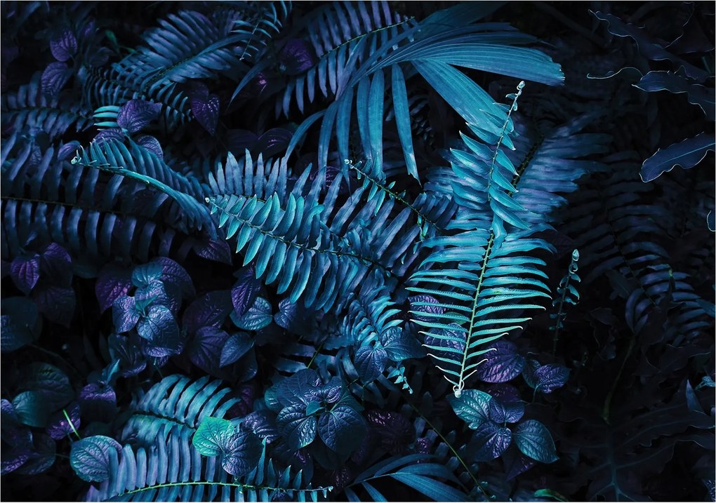 Fotótapéta Éjszakai erdő Trópusi páfrány ragyogás vinil 254x184 +ragasztó