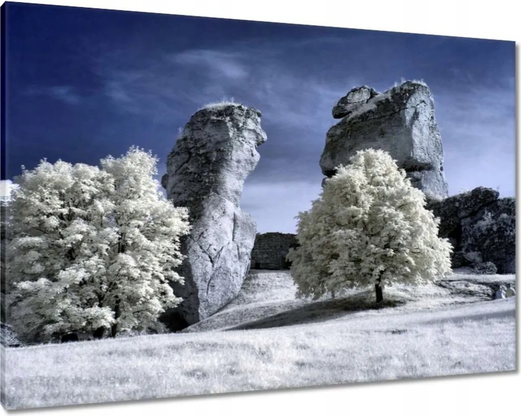 Vászonképek 100x70 Tájkép Infravörös fotó