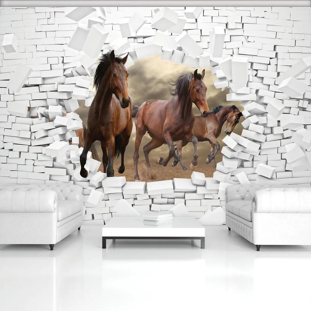 Fotótapéta - 3D lovak a falban (254x184 cm)