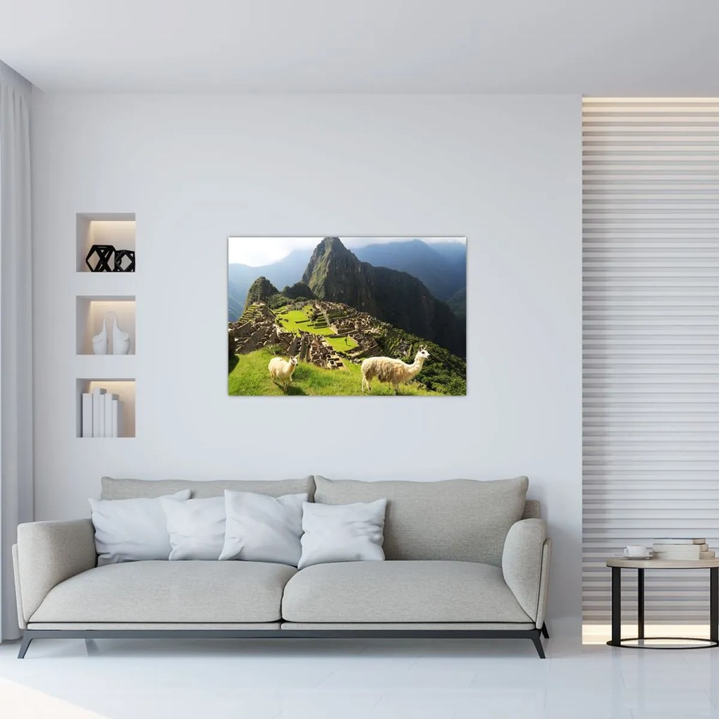 Kép - Machu Picchu (90x60 cm)