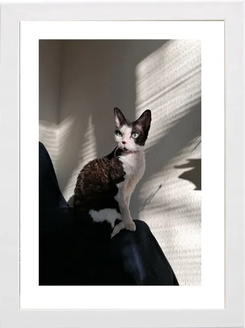 Képkeret Felakasztható És Felállítható 15X21 Fa Fehér Színben