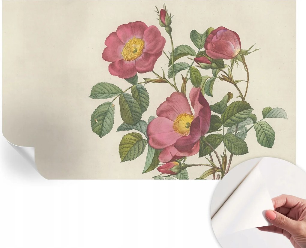 Dekoratív öntapadós fotótapéta Hálószobába Rózsa motívum 416x254 cm