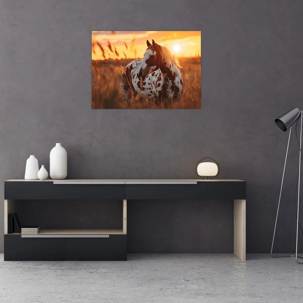 Üveg kép - Ló naplementében (70x50 cm)