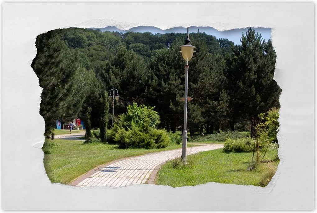 Poszterek 60x40 Zöld park fákkal