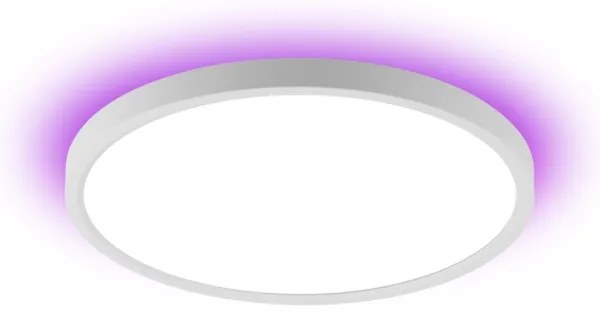 Immax NEO 07169-W60 - LED RGB Dimmelhető lámpa TUDO 65W/230V Wi-Fi Tuya + távirányító