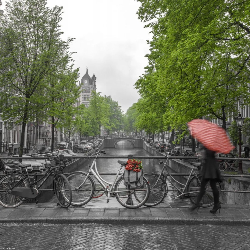 Poszter 30x30cm Nő esernyővel a csatorna felett, Assaf Frank