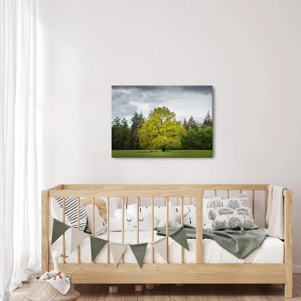 Egy zöld fa képe a mező közepén (70x50 cm)