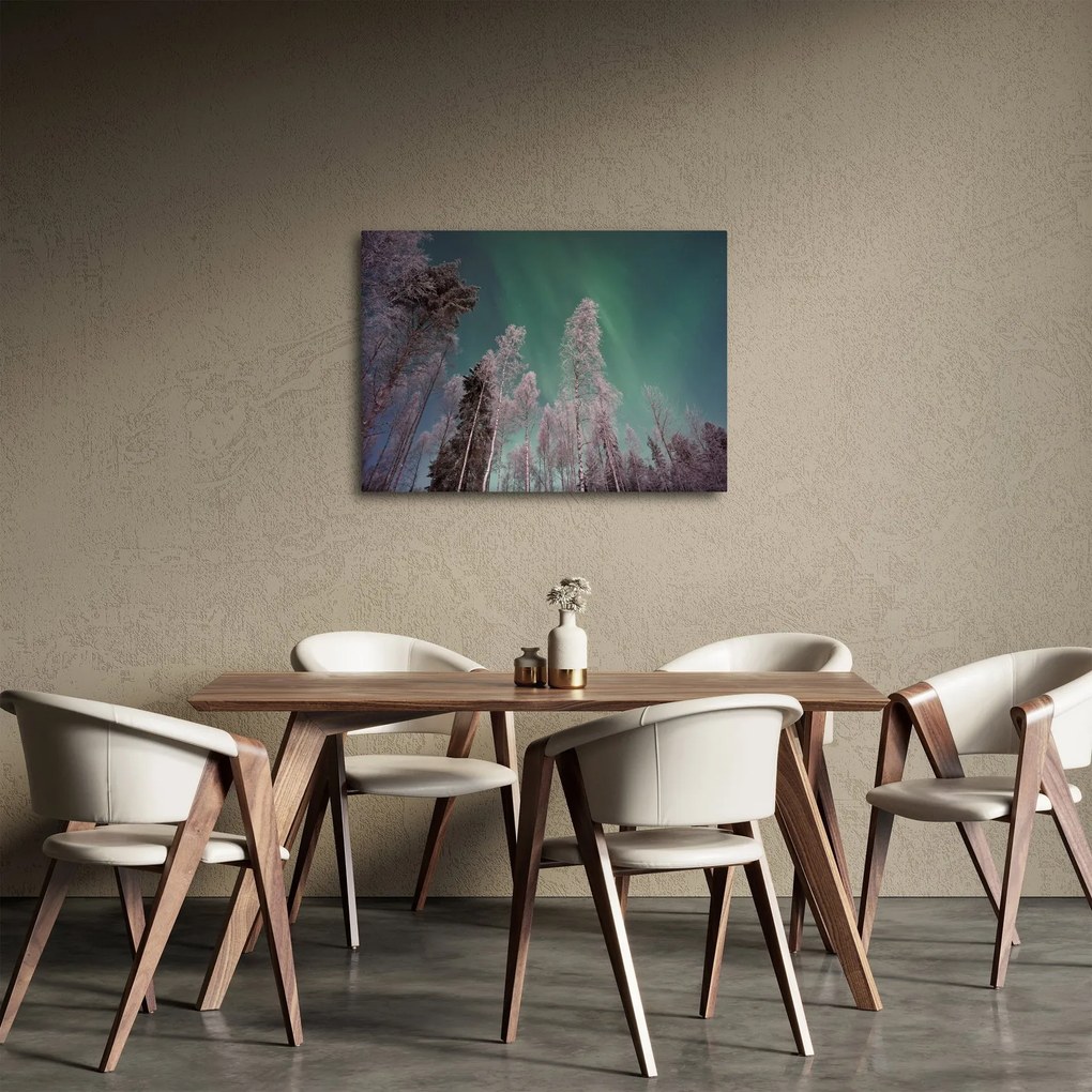 Az aurora borealis képe fagyos fák felett (70x50 cm)