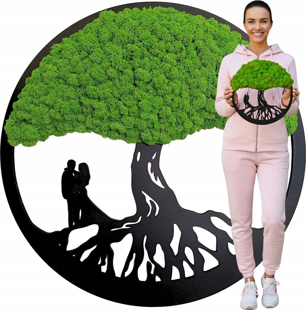 Moha Kép Moha Élő Bonsai Fa Dekoráció