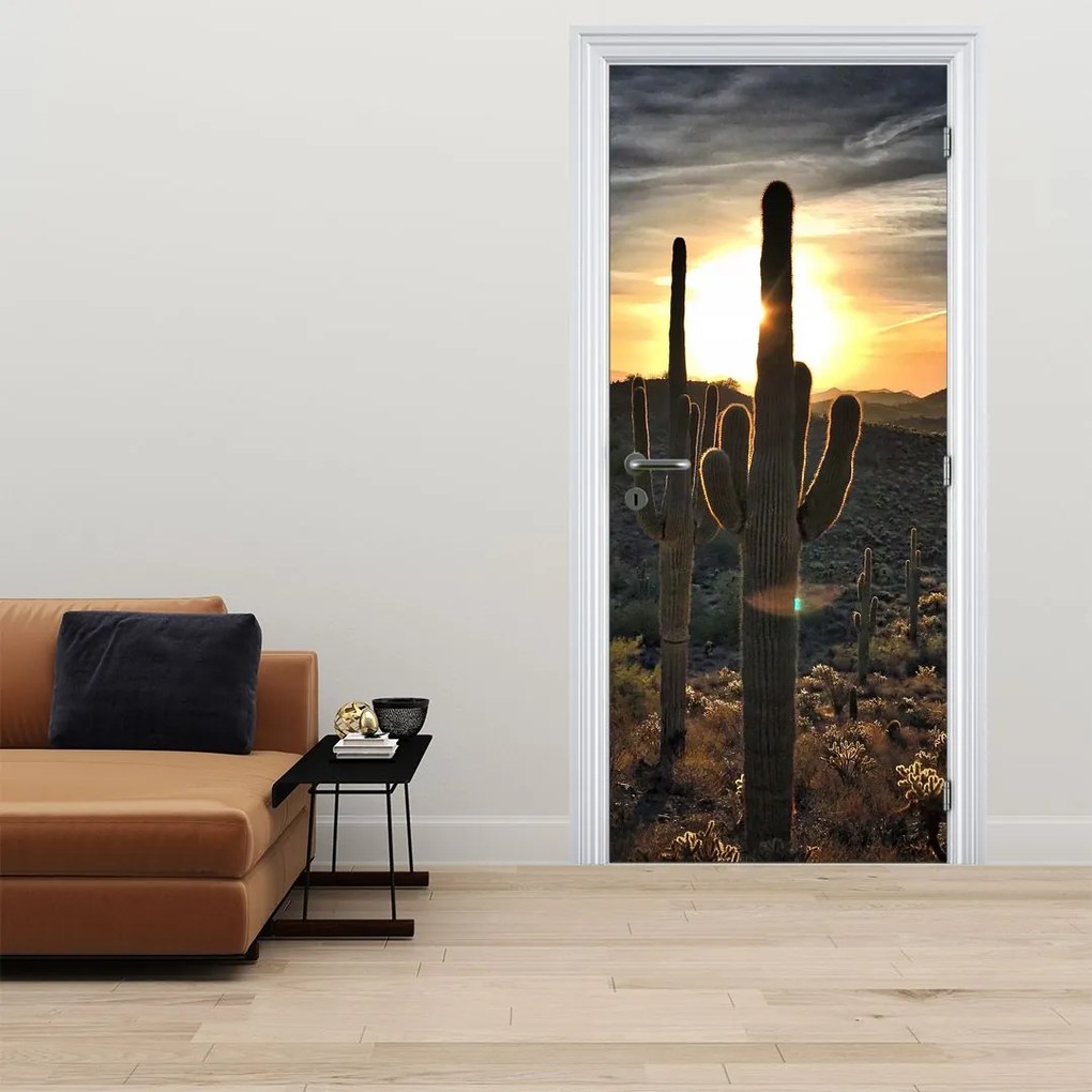 Fotótapéta ajtóra - Kaktuszok a napon (95x205cm)