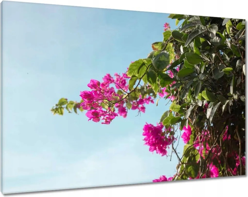 Vászonkép 100x70 Virágok