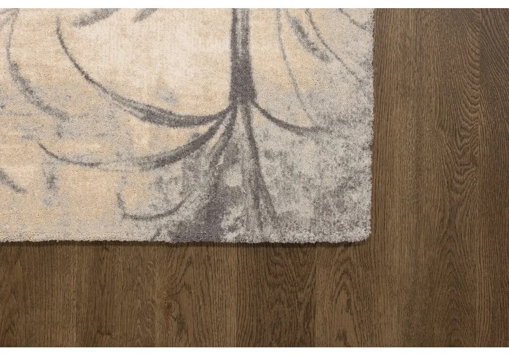 Krémszínű gyapjú szőnyeg 300x400 cm Botany – Agnella