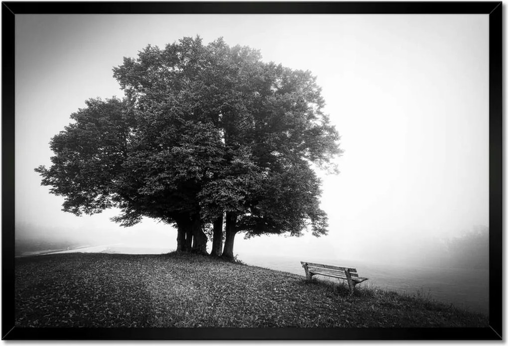 Poszter keretben 60x40 Tájkép szürke Bw