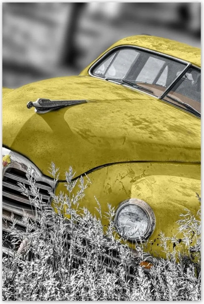 Poszterek 80x120 Sárga oldtimer