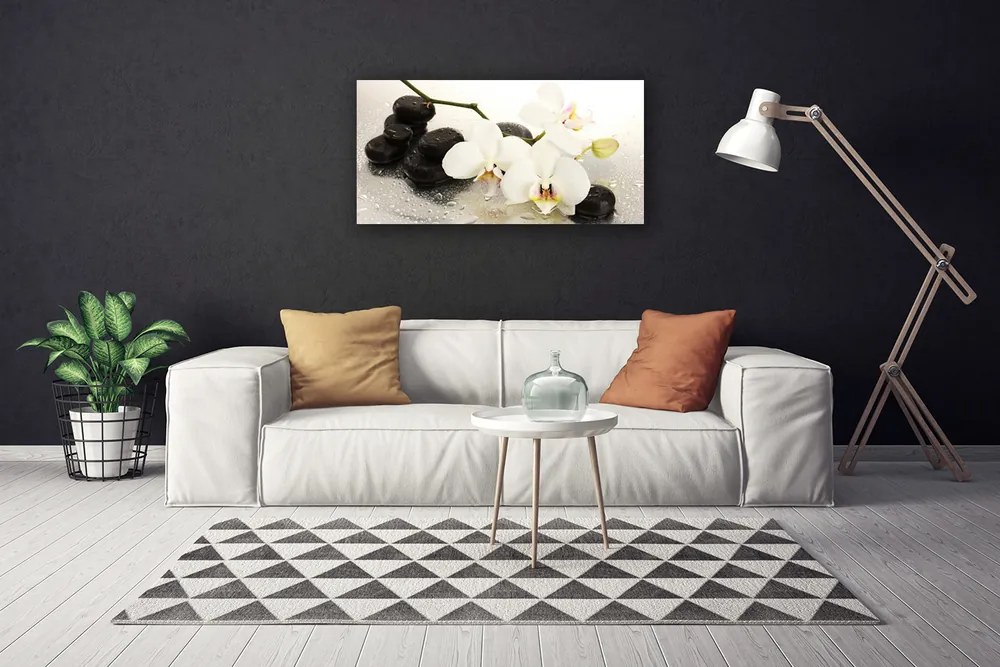 Vászonkép falra Szép virág orchidea 100x50 cm