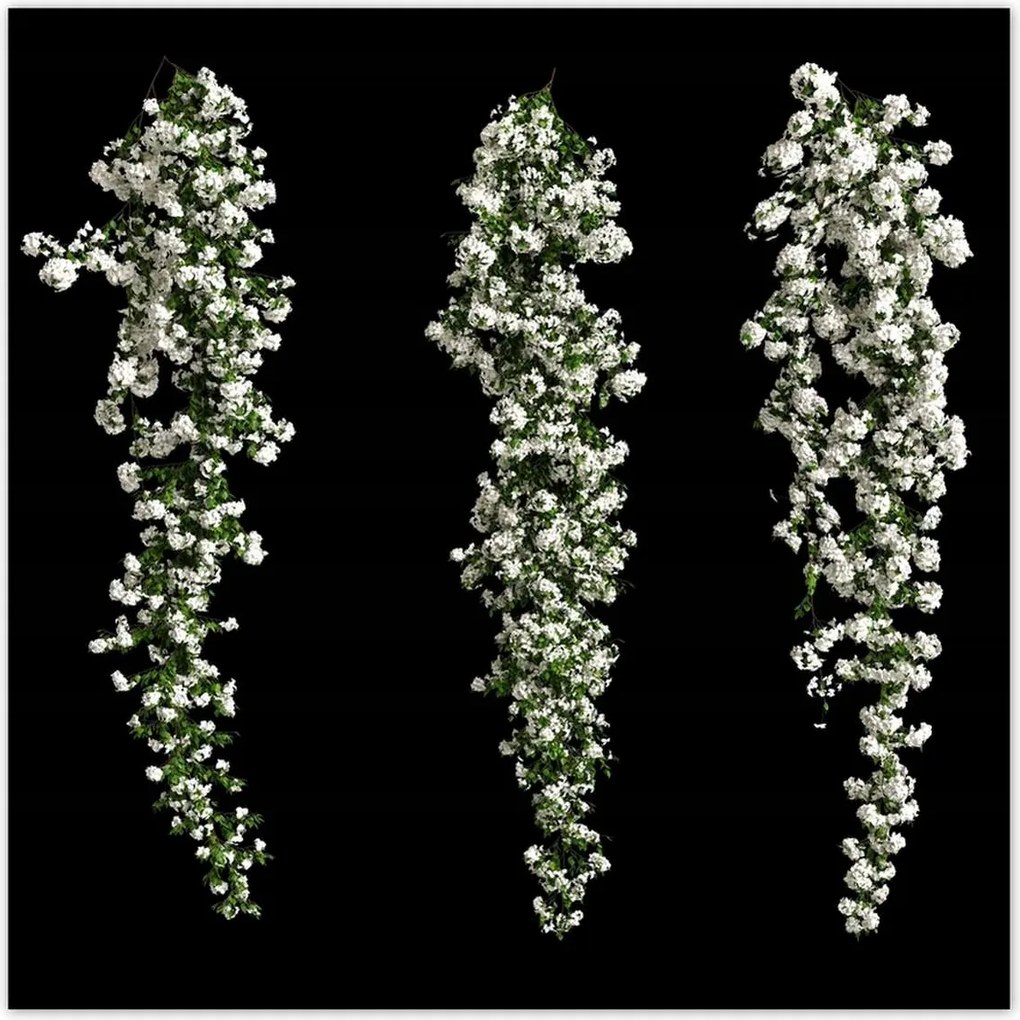 Poszterek 30x30 Bugenwilla fehér virágai