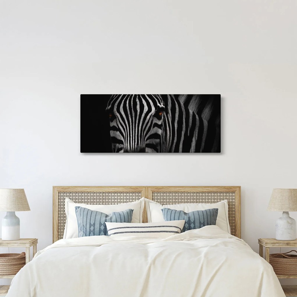 Zebra képe (120x50 cm)