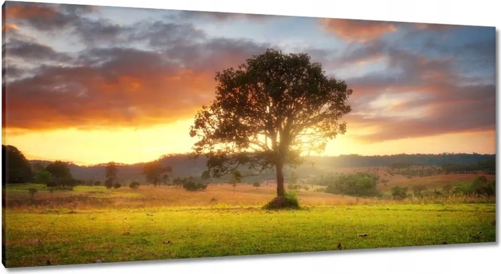 Festmények 115x55 Varázslatos tájkép