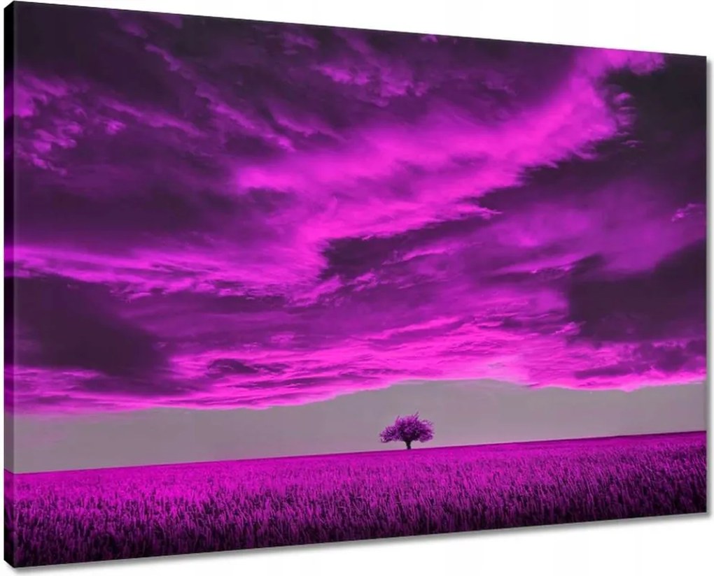 Vászonkép 70x50 Lila tájkép