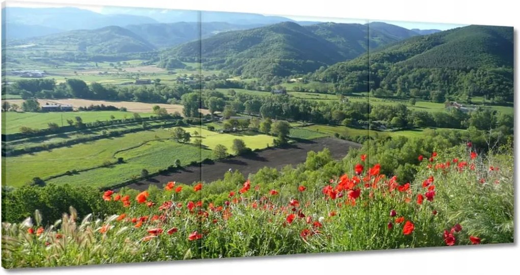 Festmények 120x60 Virágos kilátás a hegyekben